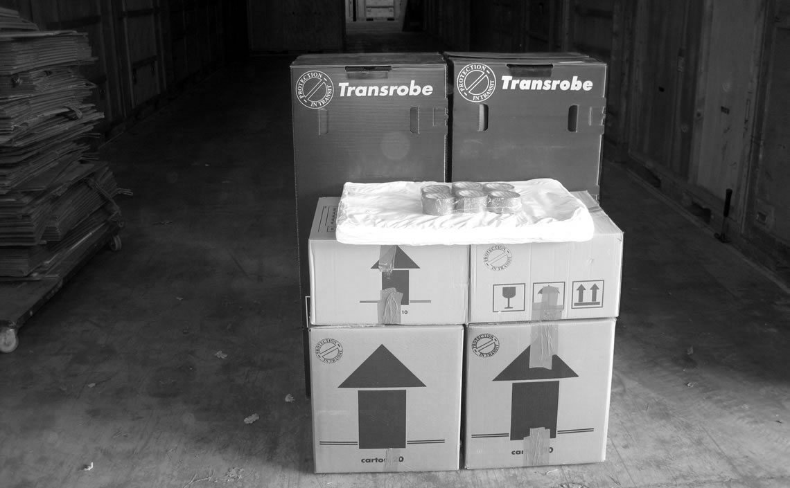 Domestic Removals